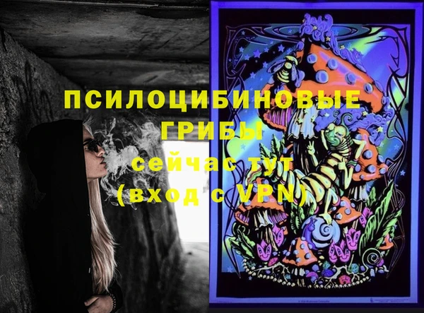 МДПВ Алзамай