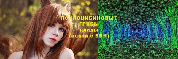 спиды Алексин