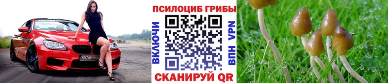 мориарти какой сайт  Лебедянь  Псилоцибиновые грибы мицелий  цена  